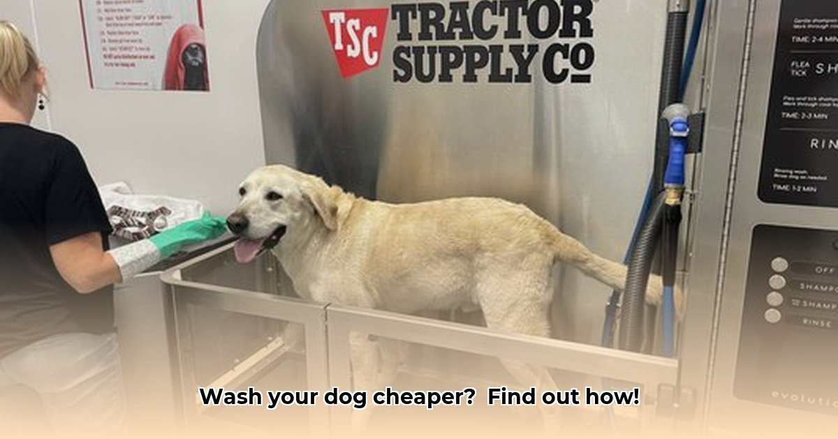can-i-wash-my-dog-at-tractor-supply